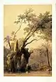 The Holy Tree, Meterea. Lithograph by Louis Haghe from an original by David Roberts