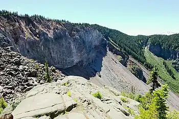 Wall of rock covered with trees and rubble extending down its side.