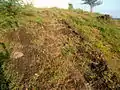 Rock cut steps at Gudiwada Dibba