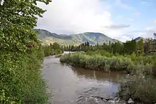 A wide brown river flows between dense shrubs and trees on both banks. Low hills or mountains are visible in the background.