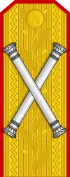 The epaulettes insignia of a Romanian marshal