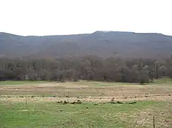 A pasture in the Vivaro Romano near Rome, Italy