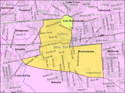 U.S. Census map