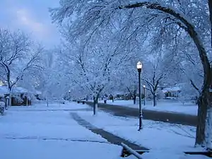 Image 8Snow in Rose Park, Salt Lake City (from Utah)