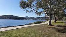 Rose Bay foreshore trail looking back at Lindisfarne bay and bluff.