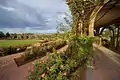 Trellises in the Rose Garden