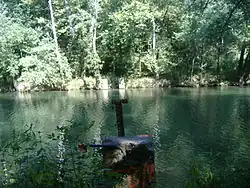 Remains of the Rose Island suspension bridge