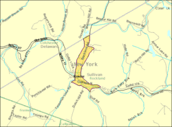 U.S. Census Map