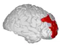 Rostral middle frontal gyrus.