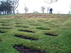 The lilia  (defensive pits) north west of the fort