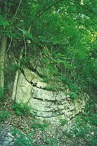 Synclinal fold in Silurian Wills Creek Formation or Bloomsburg Formation at Roundtop Hill (Maryland)