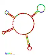 RsaD:  Secondary structure of RsaD. Rfam family RF01819