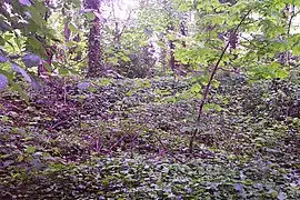 Apparent ruined walls in bricks covered by earth