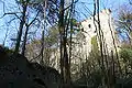 View of the ruin from the access road