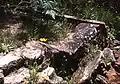 Ruins at Gypsy Pool, Wilson Glen