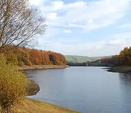 Image of a lake surrounded by trees