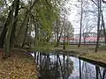 Wrześnica flowing through the park