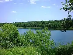 Sūriškiai pond