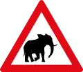 Elephants ahead