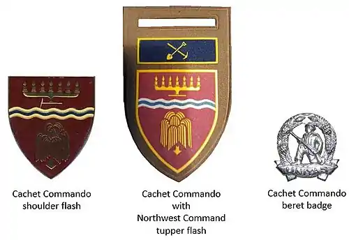 SADF era Cachet Commando insignia