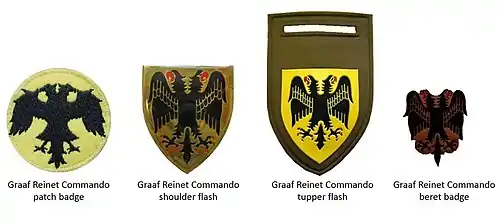 SADF era Graaf Reinet Commando insignia