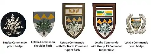 SADF era Letaba Commando insignia