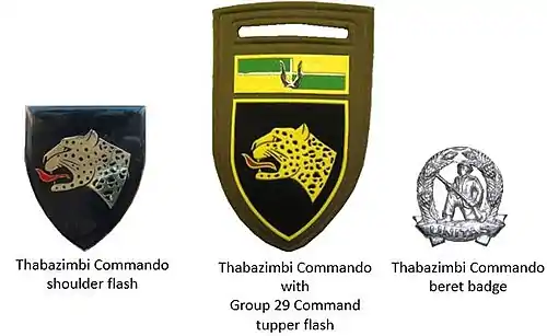 SADF era Thabazimbi Commando insignia