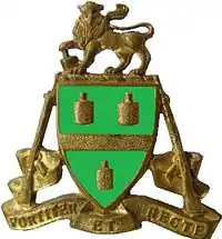 SANDF Johannesburg Regiment emblem