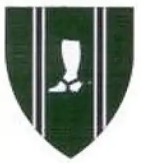 SANDF Natal Mounted Rifles emblem