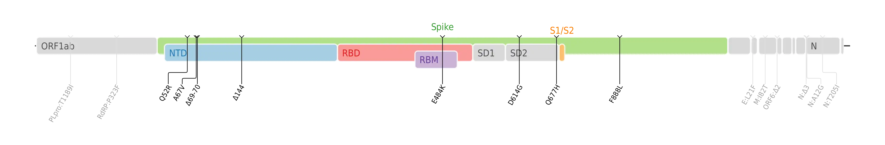 Amino acid mutations of SARS-CoV-2 Eta variant plotted on a genome map of SARS-CoV-2 with a focus on the spike.