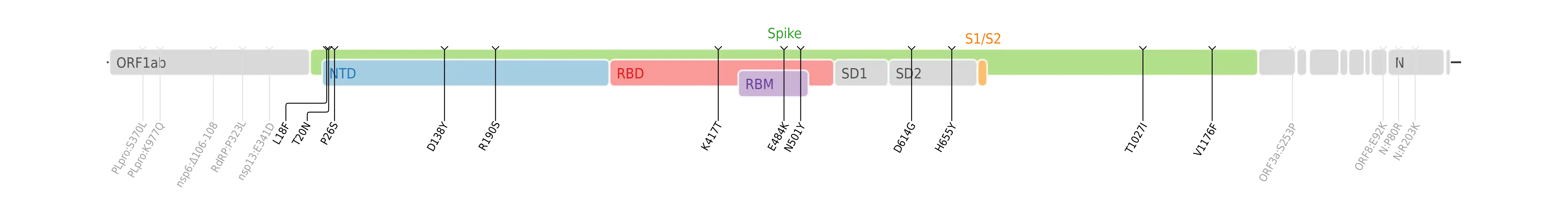 Amino acid mutations of SARS-CoV-2 Gamma variant plotted on a genome map of SARS-CoV-2 with a focus on Spike.