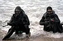 Two SEALs in diving gear scout a beach during an exercise.