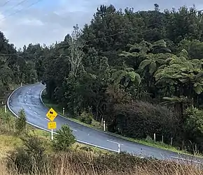 SH31 near Te Kauri Lodge