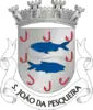 Coat of arms of São João da Pesqueira