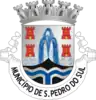 Coat of arms of São Pedro do Sul