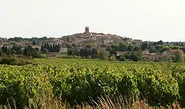 A general view of the village of Sablet