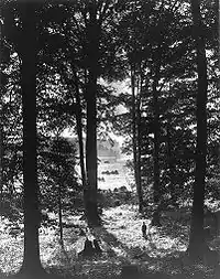 Sacred Grove (1907)