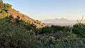 Saddleback Valley viewed from the hills of Laguna Niguel