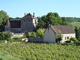 Vineyards and the chateau of Gamay