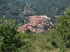 A view of Saint-Martin-Vésubie from the nearby hillside