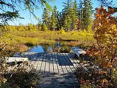 Saint-Narcisse, Lac-à-la-Tortue bog