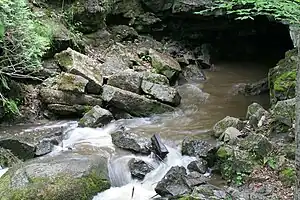 Small tributary of the Sainte-Anne River at its exit from the cave of Trou du diable, a few meters from its mouth