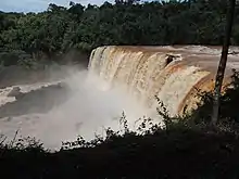 Image 2Nacunday National Park, Southern Paraguay. (from Paraguay)