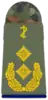 General-stabsarzt(dental medicine)