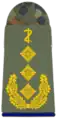 Generaloberstabsarzt(Army Dental Officer with the rank of Lieutenant General)