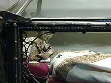 Relics of Saint Dionysius, Bishop of Milan (Cathedral of Milan).