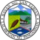 Official seal of San Fabian