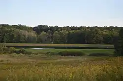 Pond along Pennsylvania Route 173 north of Sandy Lake