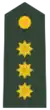 Coronel