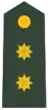 Teniente Coronel